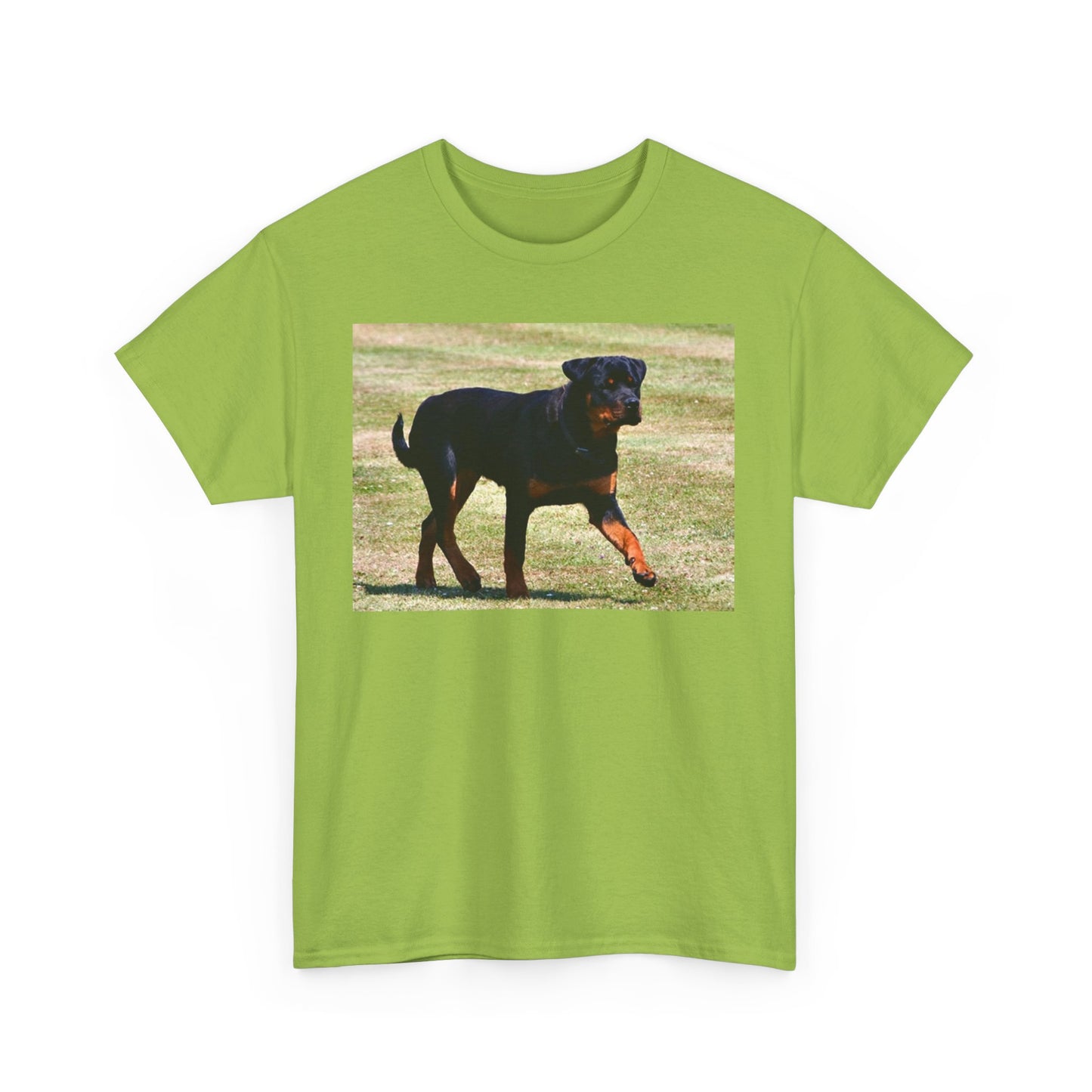 Stylish Rottweiler Walking Tee for Dog Lovers, Unisex Heavy Cotton T-Shirt, Animal Lover Gift, Pet Owner Apparel, Casual Wear, Birthday Present