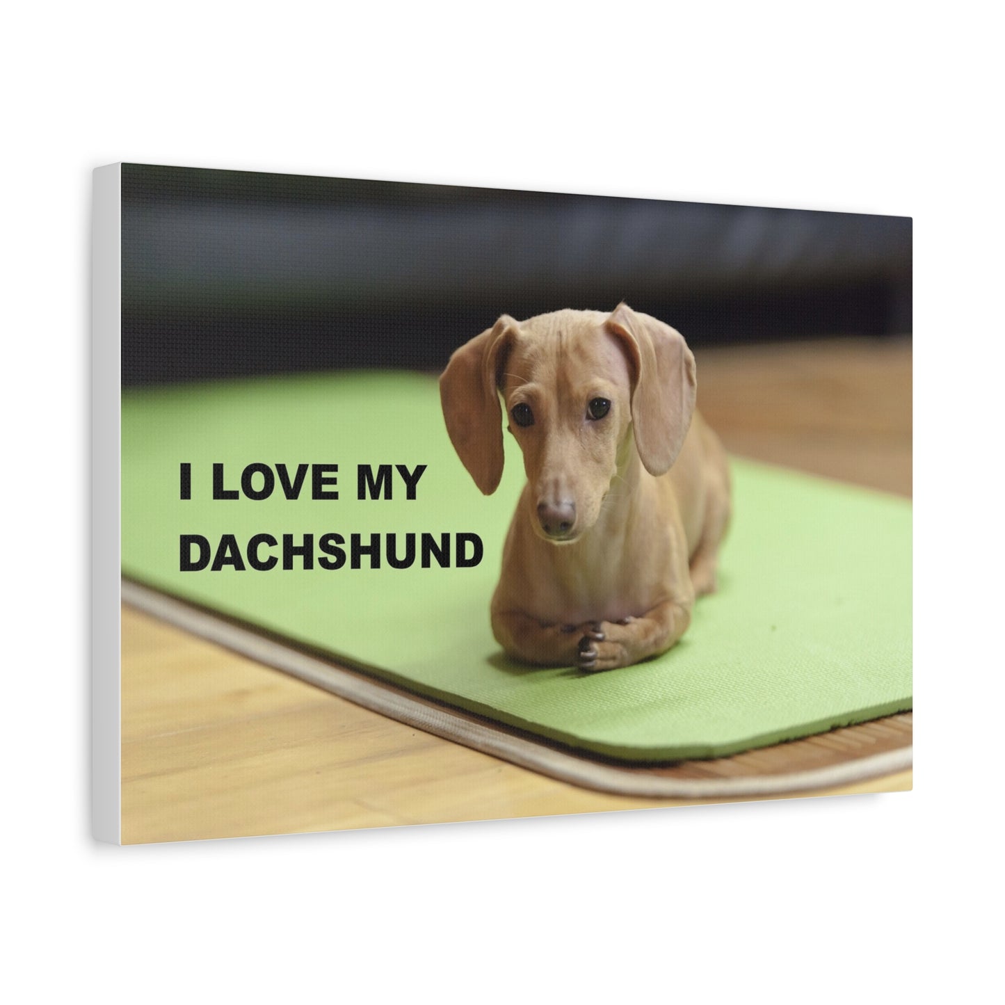 I Love My Dachshund Canvas Print, Pet Lover Wall Art, Dog Decor, Animal Wall Hanging, Home Decoration, Gift for Dachshund Owners