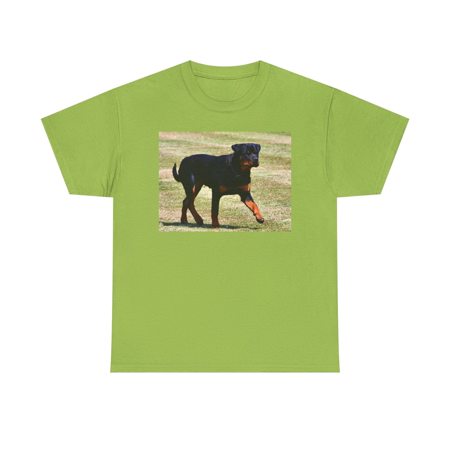 Stylish Rottweiler Walking Tee for Dog Lovers, Unisex Heavy Cotton T-Shirt, Animal Lover Gift, Pet Owner Apparel, Casual Wear, Birthday Present