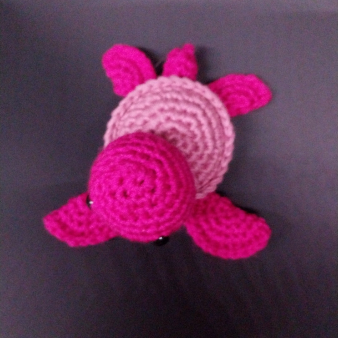 Pink Turtle