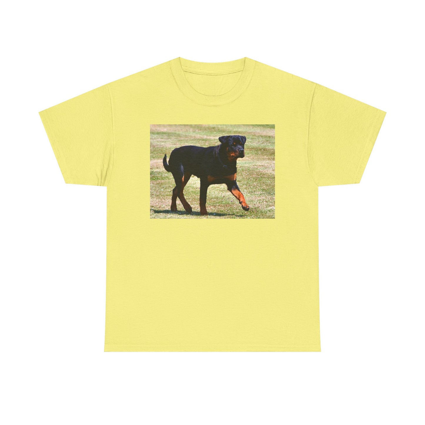 Stylish Rottweiler Walking Tee for Dog Lovers, Unisex Heavy Cotton T-Shirt, Animal Lover Gift, Pet Owner Apparel, Casual Wear, Birthday Present