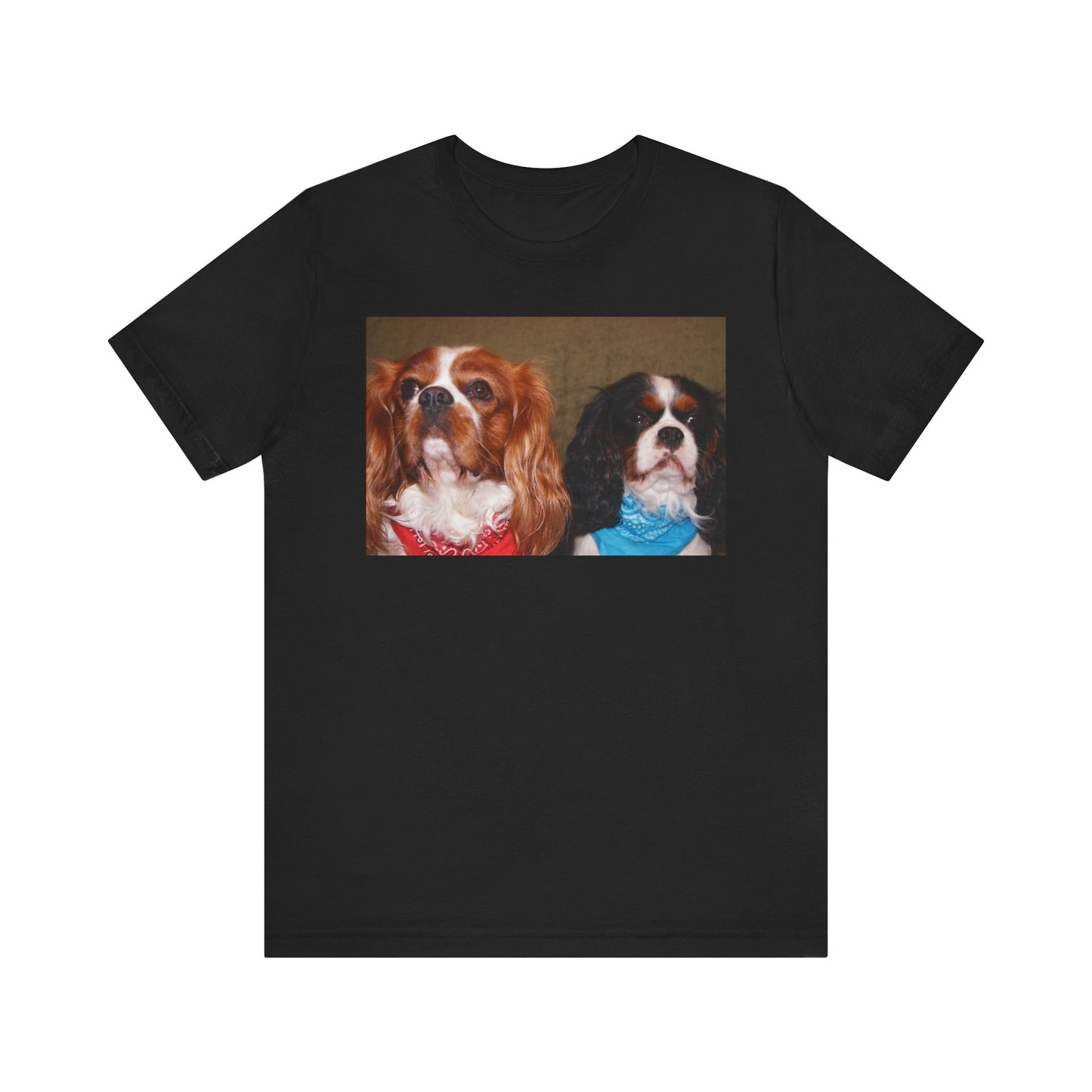 Cavalier King Charles Spaniel Group Cute Dog Lovers Tee, Unisex Jersey Shirt, Pet Parent Gift, Animal Lover Fashion, Casual Dog Graphic Tee
