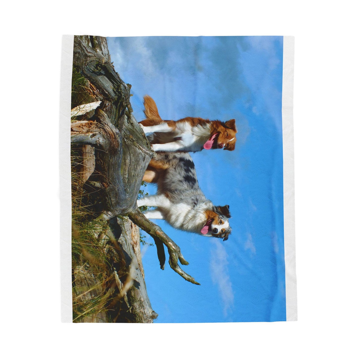 Australian Shepherd Group Cozy Dog Lover's Velveteen Plush Blanket with Pet Designs, Perfect for Gifts, Home Decor, Dog-Themed, Friends & Family Snuggles