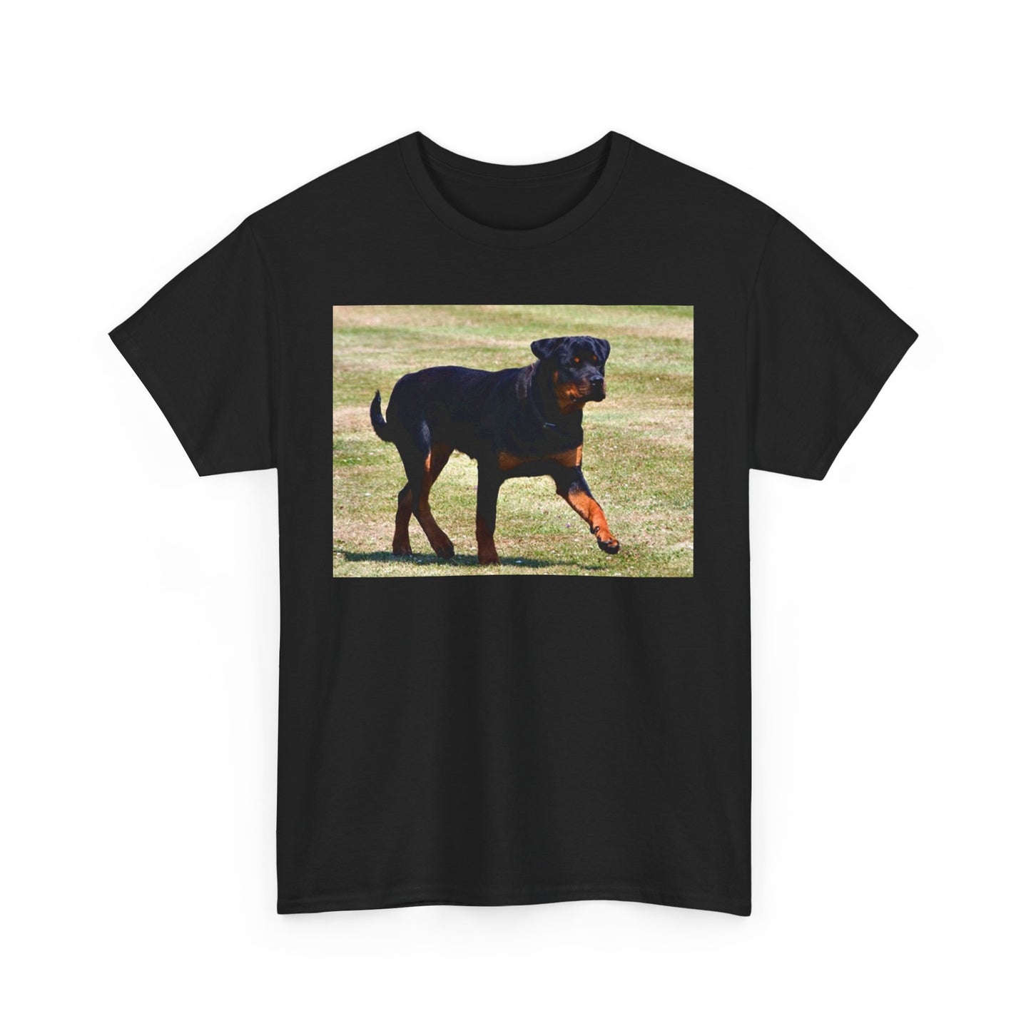 Stylish Rottweiler Walking Tee for Dog Lovers, Unisex Heavy Cotton T-Shirt, Animal Lover Gift, Pet Owner Apparel, Casual Wear, Birthday Present