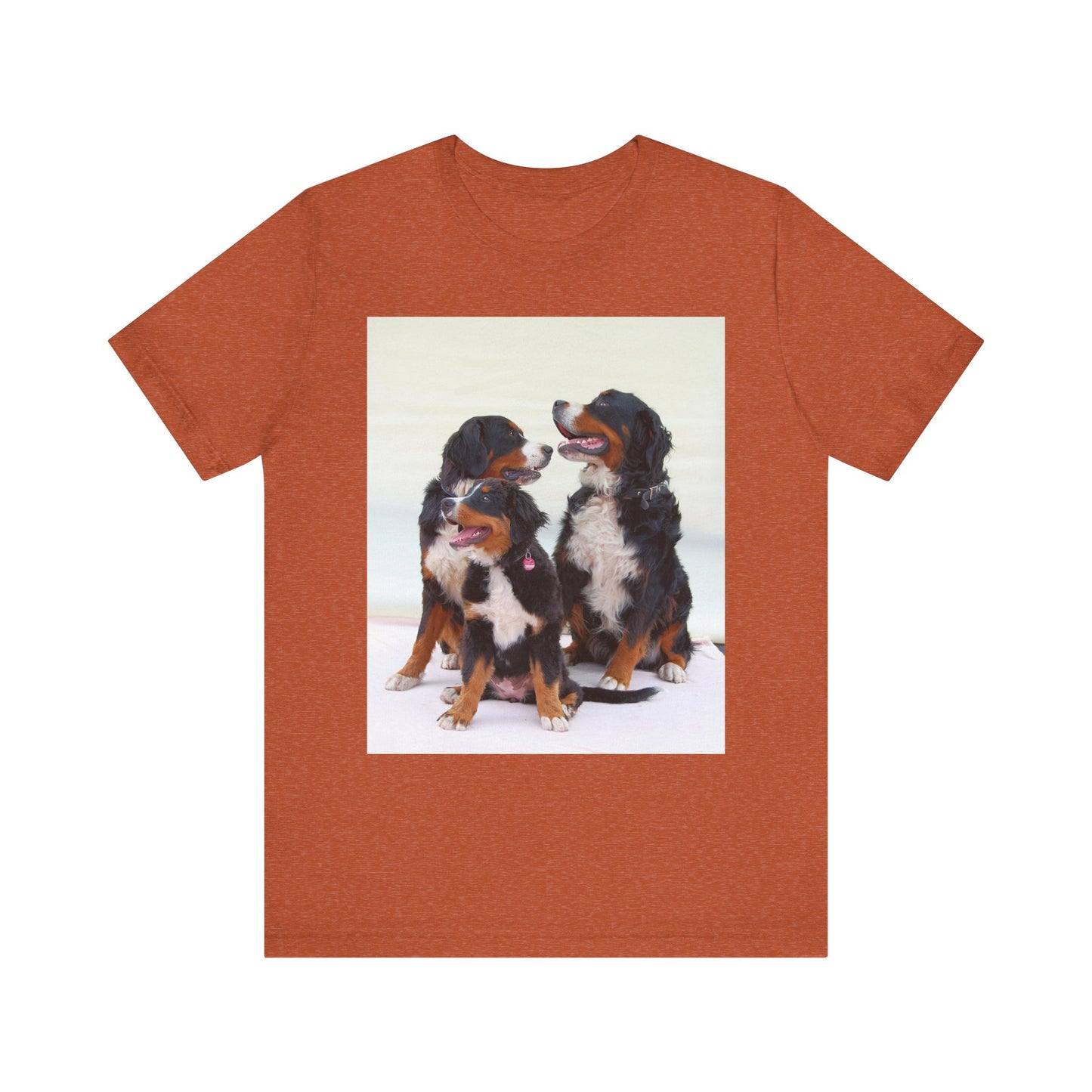 Bernese MOuntain Dog Group Cute Dog Lover Unisex Jersey Short Sleeve Tee, Pet Shirt, Dog Mom Gift, Animal Lover Tee, Casual Wear, Birthday Gift