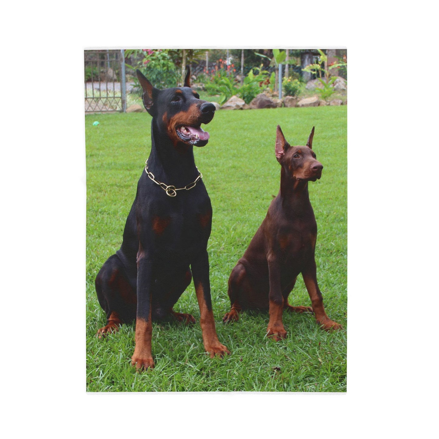 Doberman Dog Group Lovers Velveteen Plush Blanket | Cozy Pet Blanket for Home Decoration, Gift for Dog Owners, Animal Lover Cozy Throw