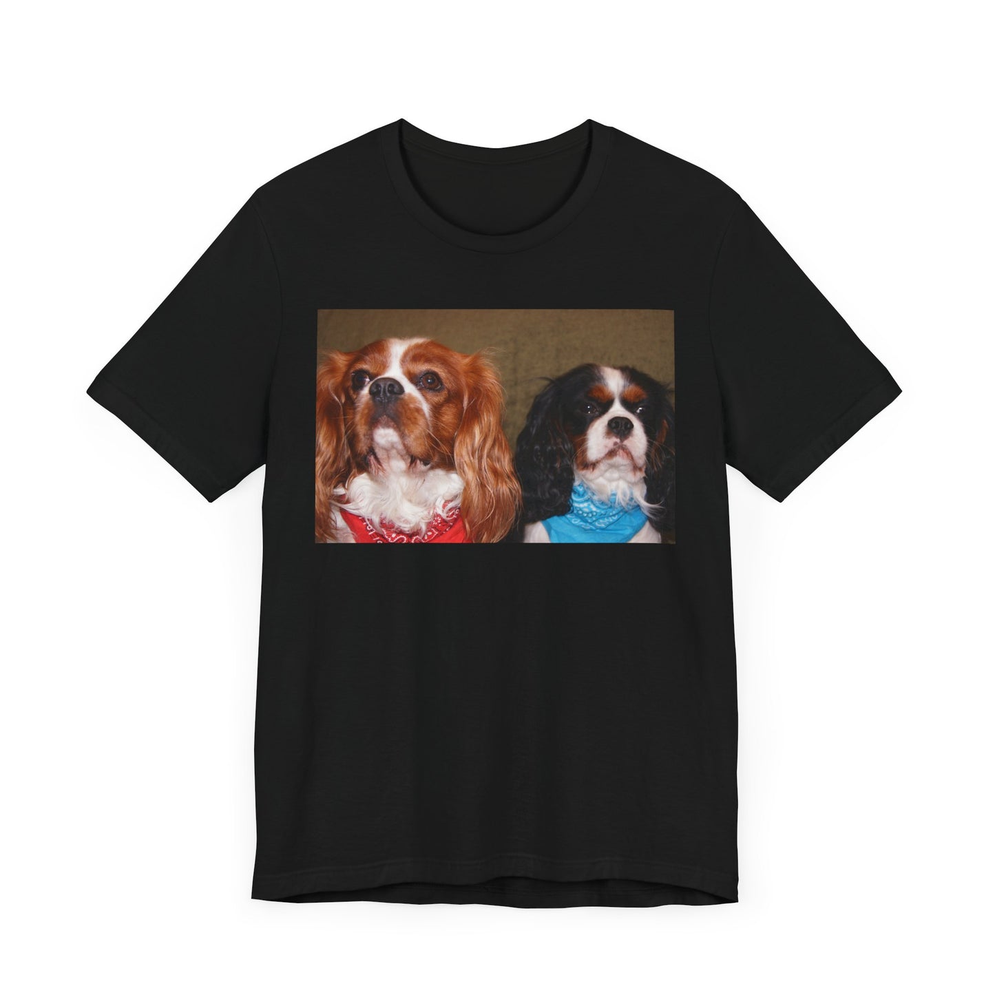 Cavalier King Charles Spaniel Group Cute Dog Lovers Tee, Unisex Jersey Shirt, Pet Parent Gift, Animal Lover Fashion, Casual Dog Graphic Tee