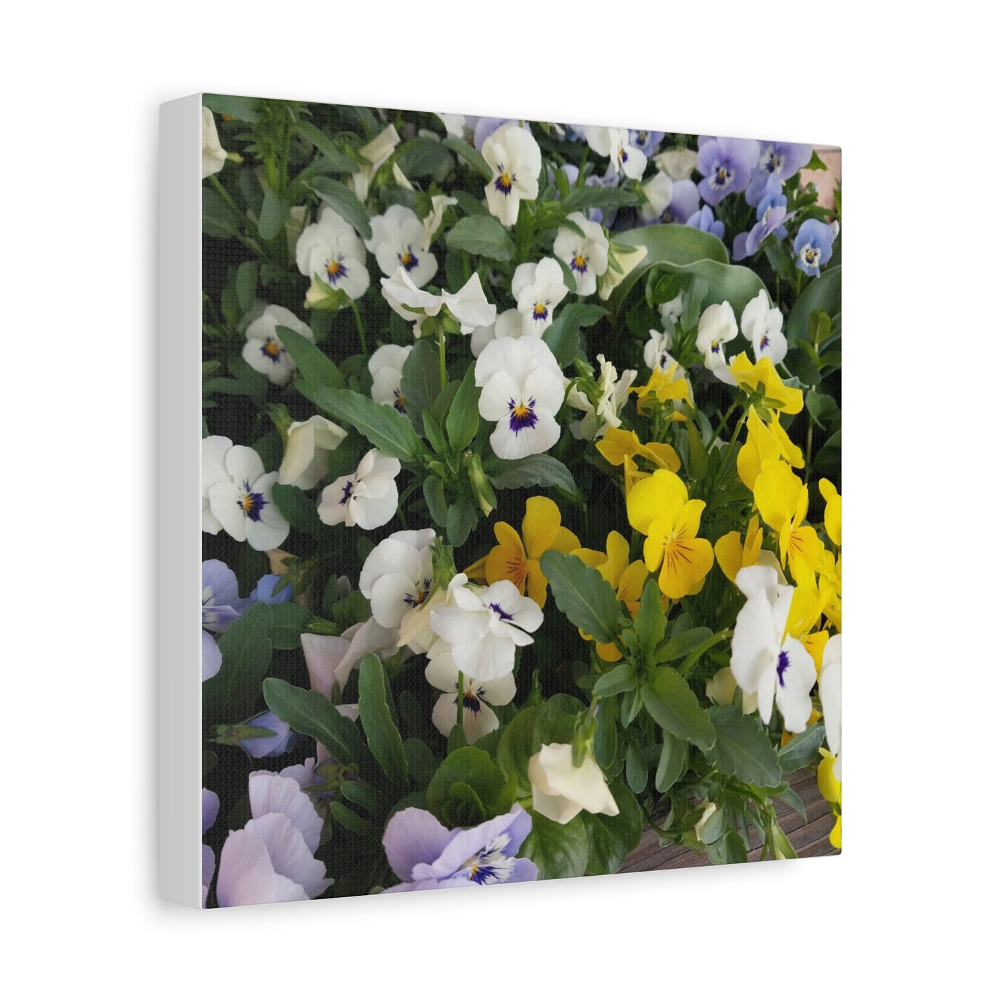 Pansies Floral Canvas Wall Art - Vibrant Pansy Design for Home Decor