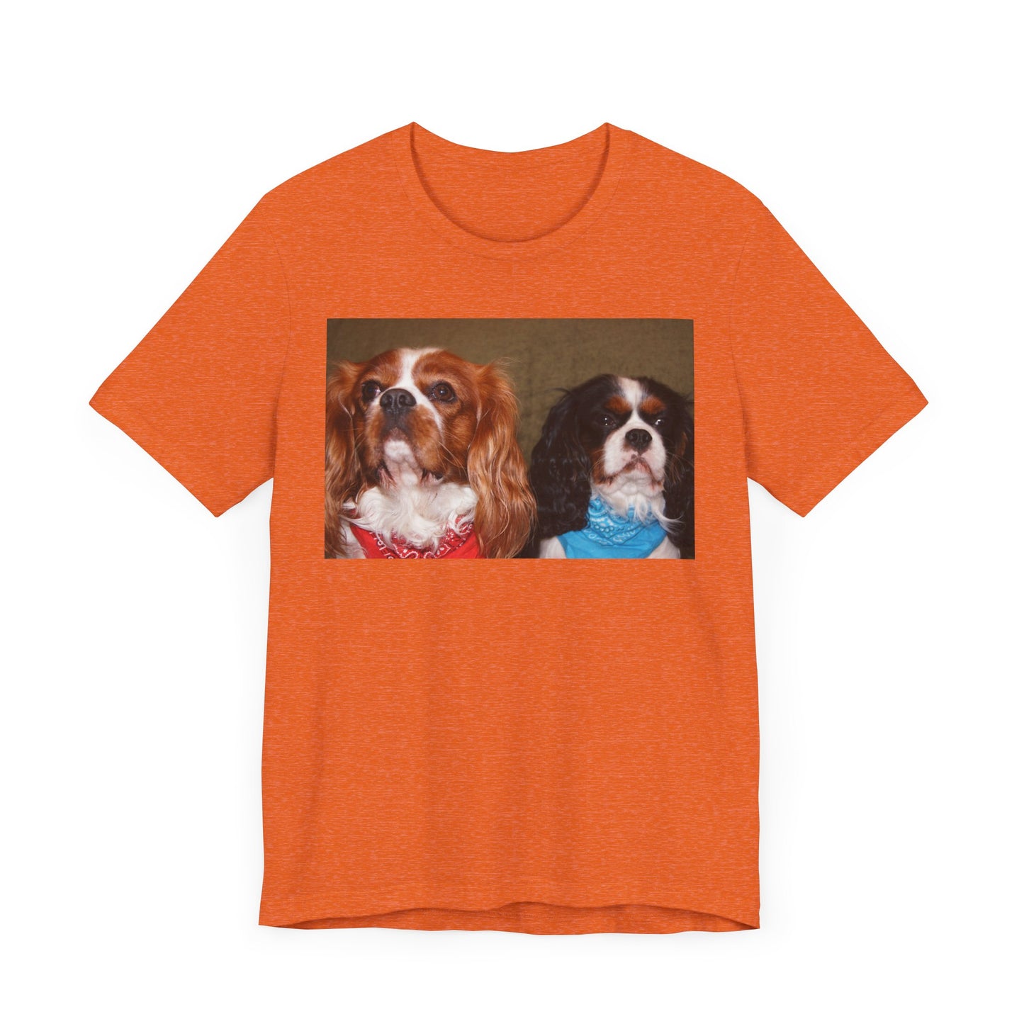 Cavalier King Charles Spaniel Group Cute Dog Lovers Tee, Unisex Jersey Shirt, Pet Parent Gift, Animal Lover Fashion, Casual Dog Graphic Tee