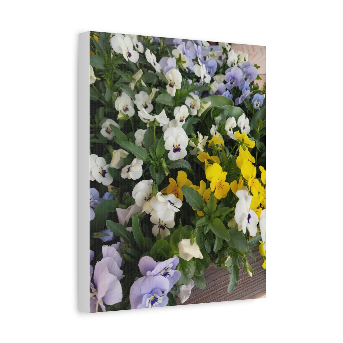 Pansies Floral Canvas Wall Art - Vibrant Pansy Design for Home Decor