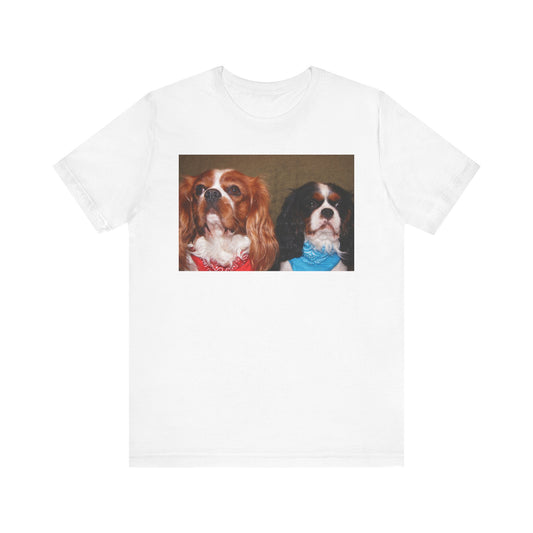 Cavalier King Charles Spaniel Group Cute Dog Lovers Tee, Unisex Jersey Shirt, Pet Parent Gift, Animal Lover Fashion, Casual Dog Graphic Tee