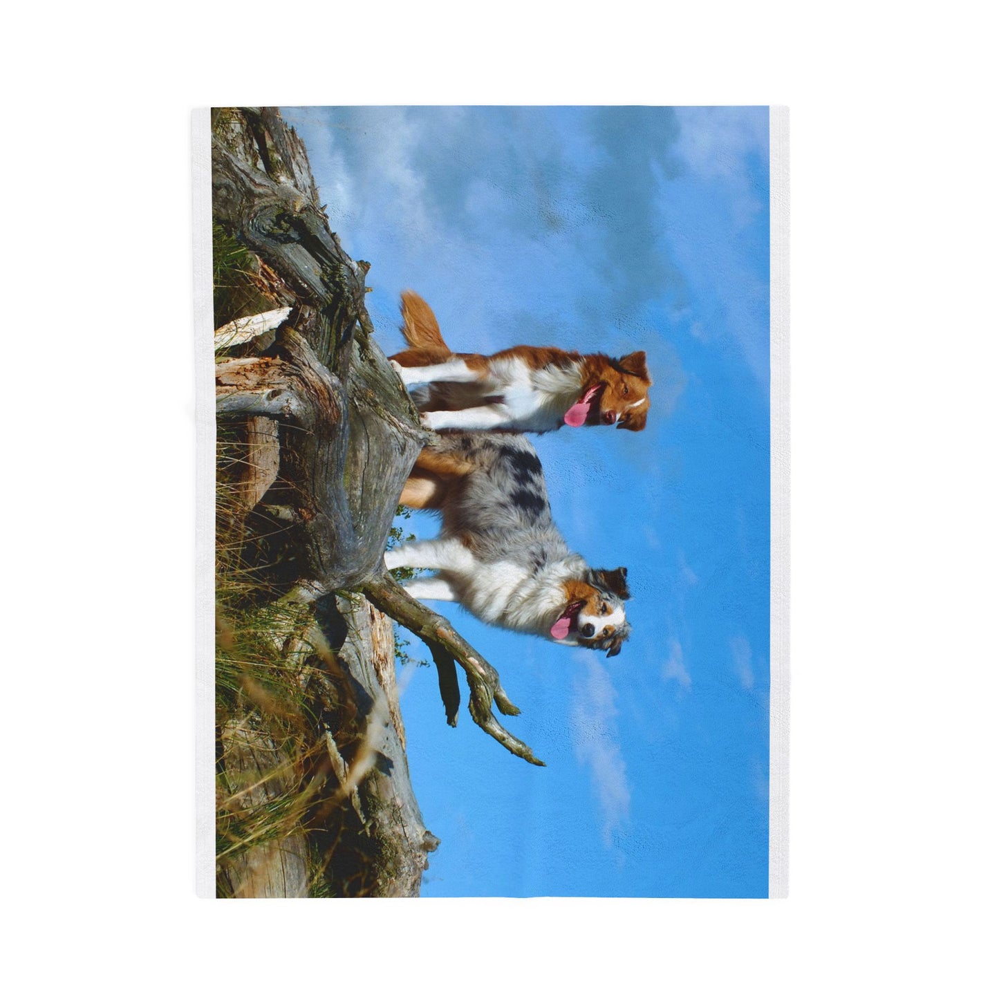 Australian Shepherd Group Cozy Dog Lover's Velveteen Plush Blanket with Pet Designs, Perfect for Gifts, Home Decor, Dog-Themed, Friends & Family Snuggles