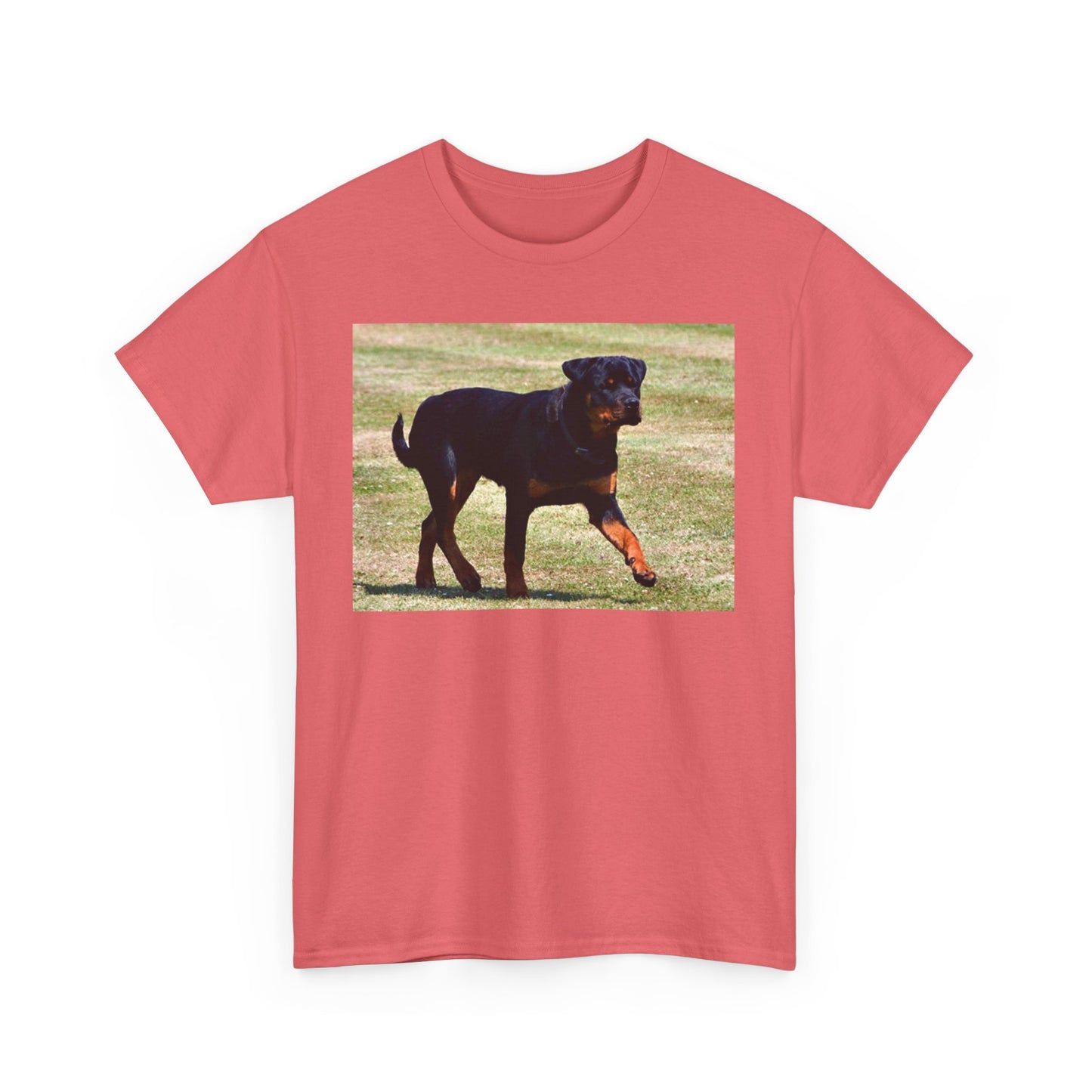 Stylish Rottweiler Walking Tee for Dog Lovers, Unisex Heavy Cotton T-Shirt, Animal Lover Gift, Pet Owner Apparel, Casual Wear, Birthday Present