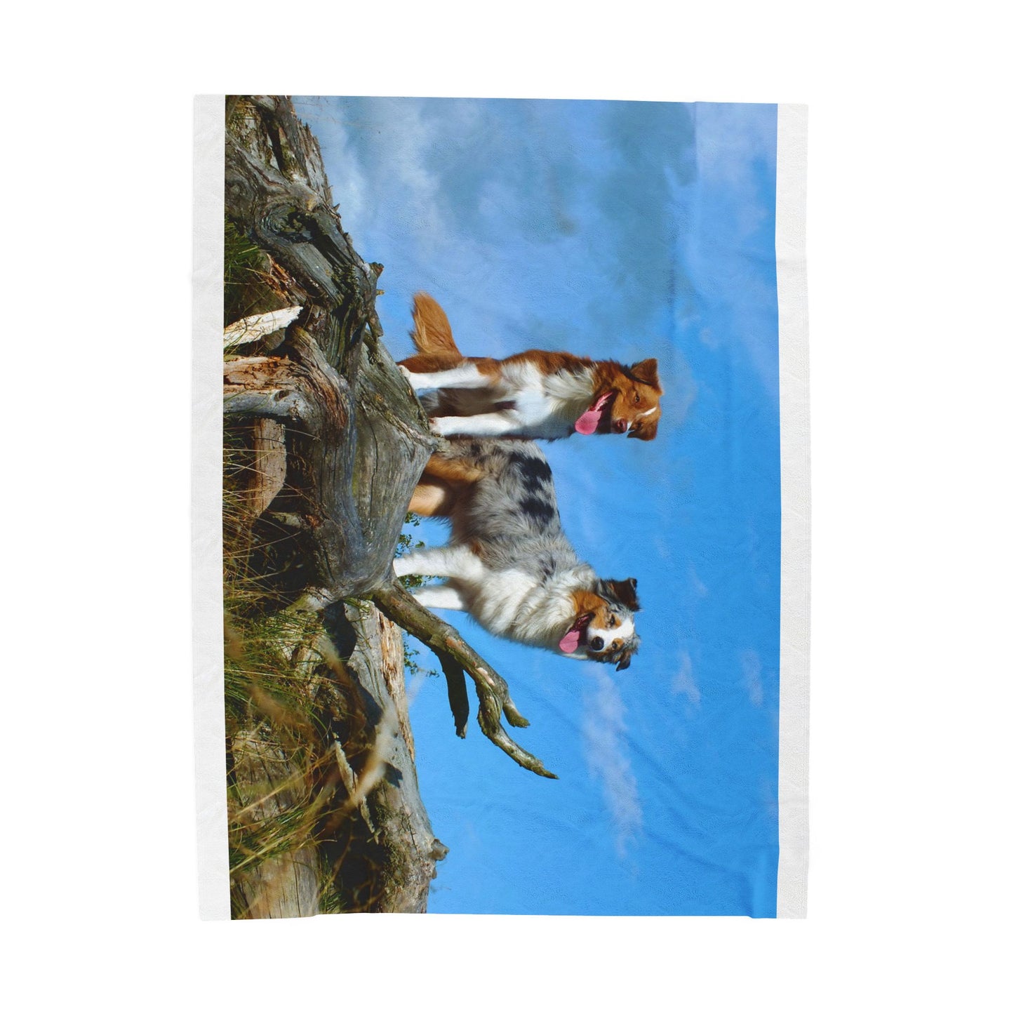 Australian Shepherd Group Cozy Dog Lover's Velveteen Plush Blanket with Pet Designs, Perfect for Gifts, Home Decor, Dog-Themed, Friends & Family Snuggles