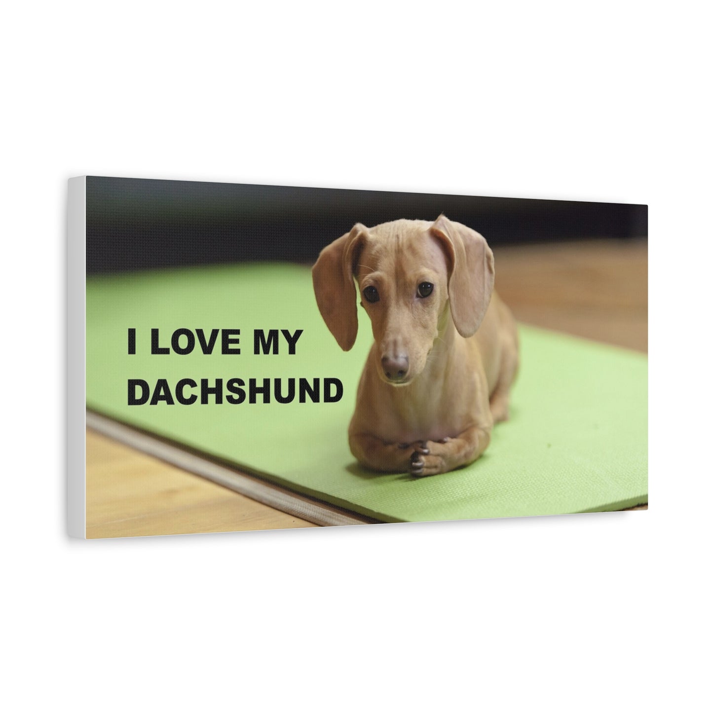 I Love My Dachshund Canvas Print, Pet Lover Wall Art, Dog Decor, Animal Wall Hanging, Home Decoration, Gift for Dachshund Owners