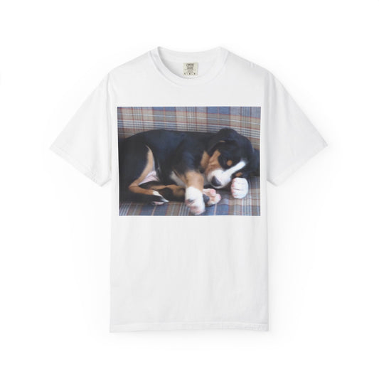 Cute Greter Swiss Mountain Dog Puppy T-Shirt, Comfort Tee for Dog Lovers, Gift for Pet Owners, Casual Wear, Perfect for Birthdays