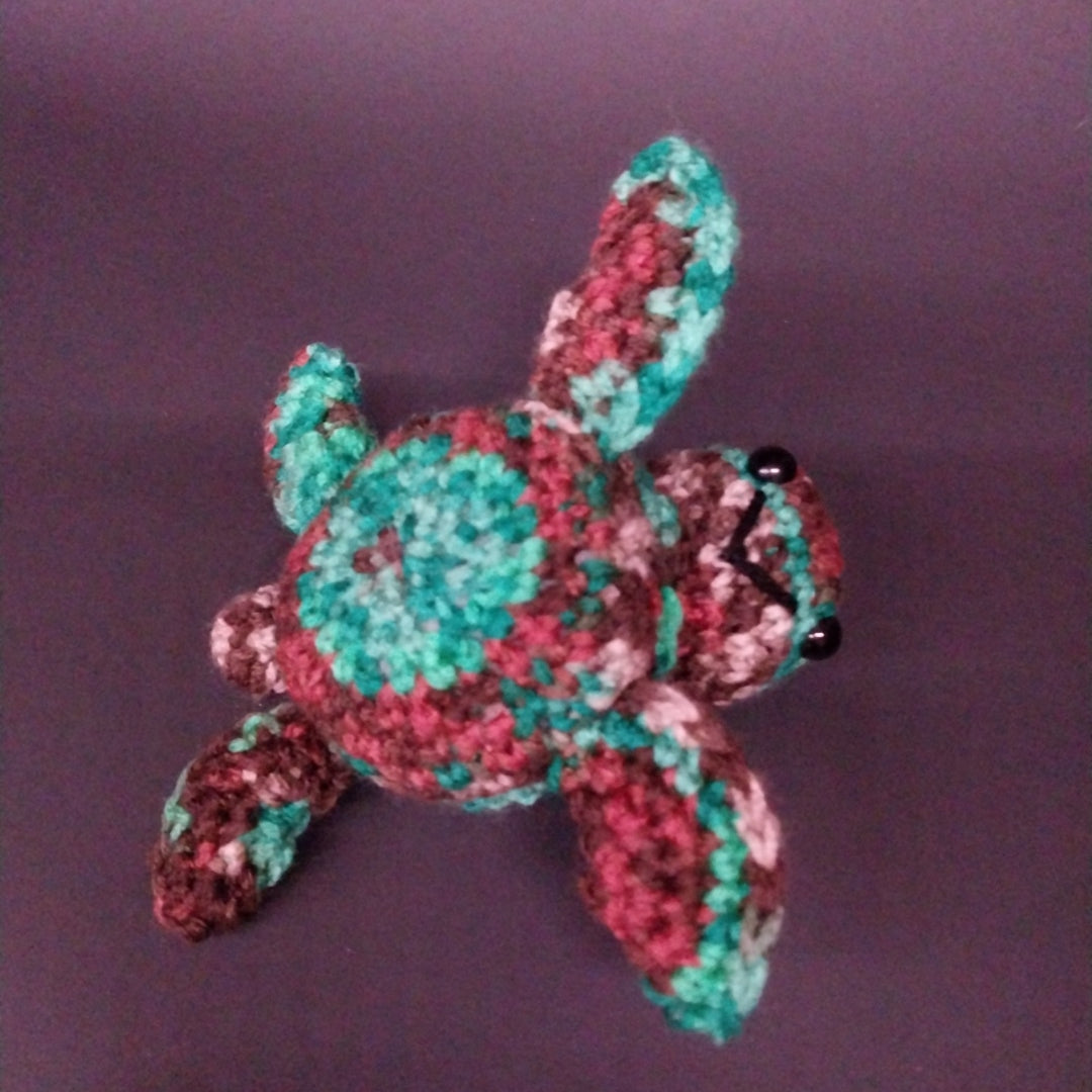Turquoise and brown Turtle