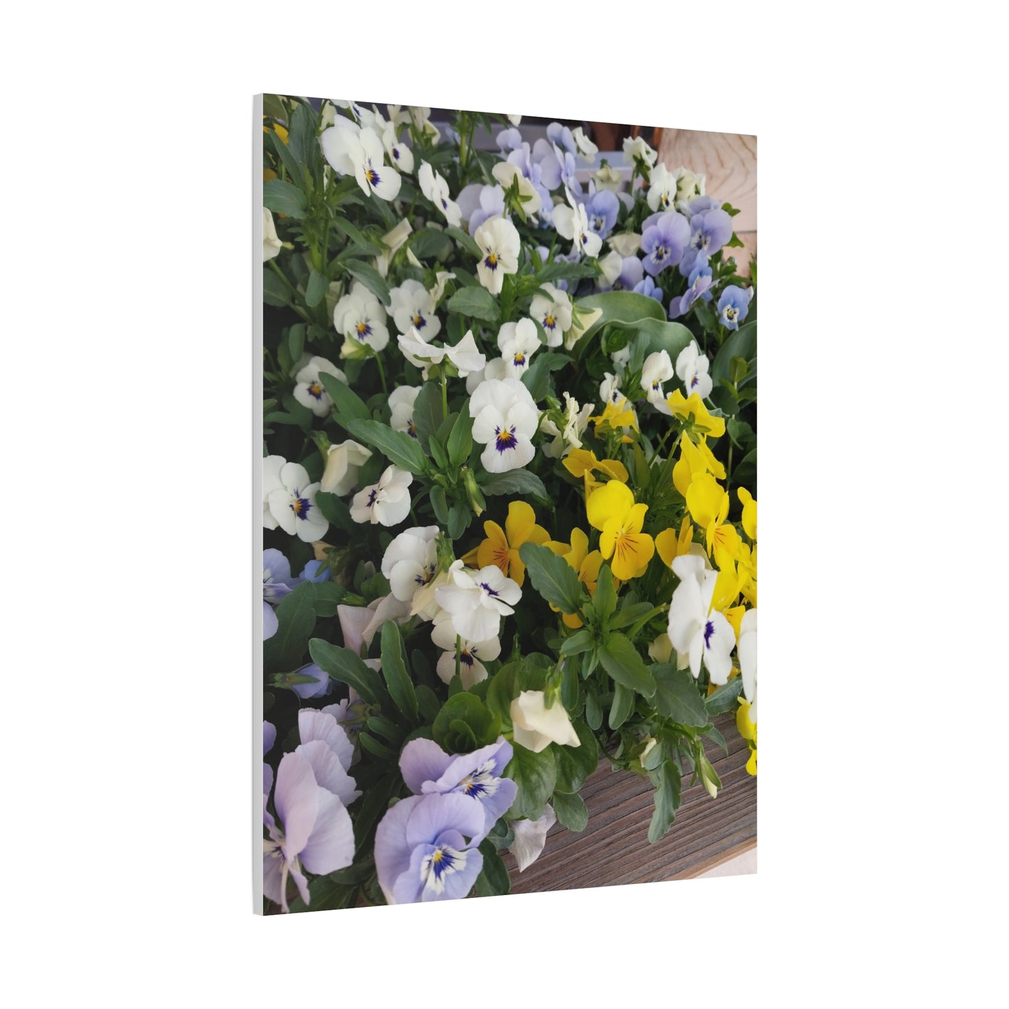Pansies Floral Canvas Wall Art - Vibrant Pansy Design for Home Decor