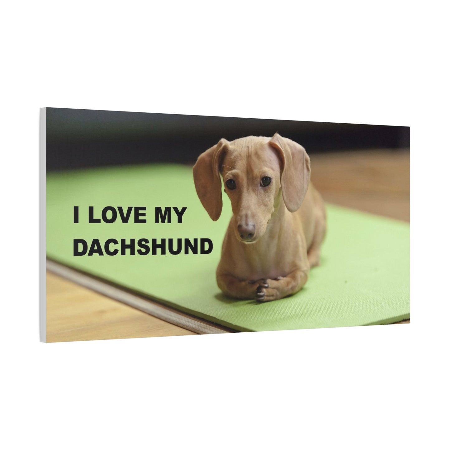 I Love My Dachshund Canvas Print, Pet Lover Wall Art, Dog Decor, Animal Wall Hanging, Home Decoration, Gift for Dachshund Owners