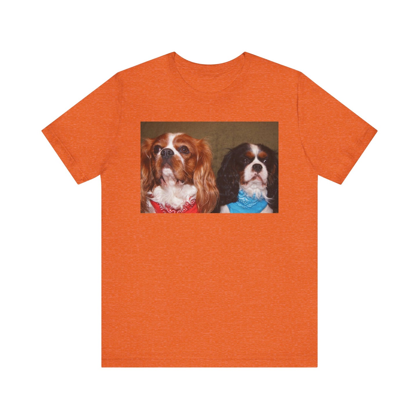 Cavalier King Charles Spaniel Group Cute Dog Lovers Tee, Unisex Jersey Shirt, Pet Parent Gift, Animal Lover Fashion, Casual Dog Graphic Tee