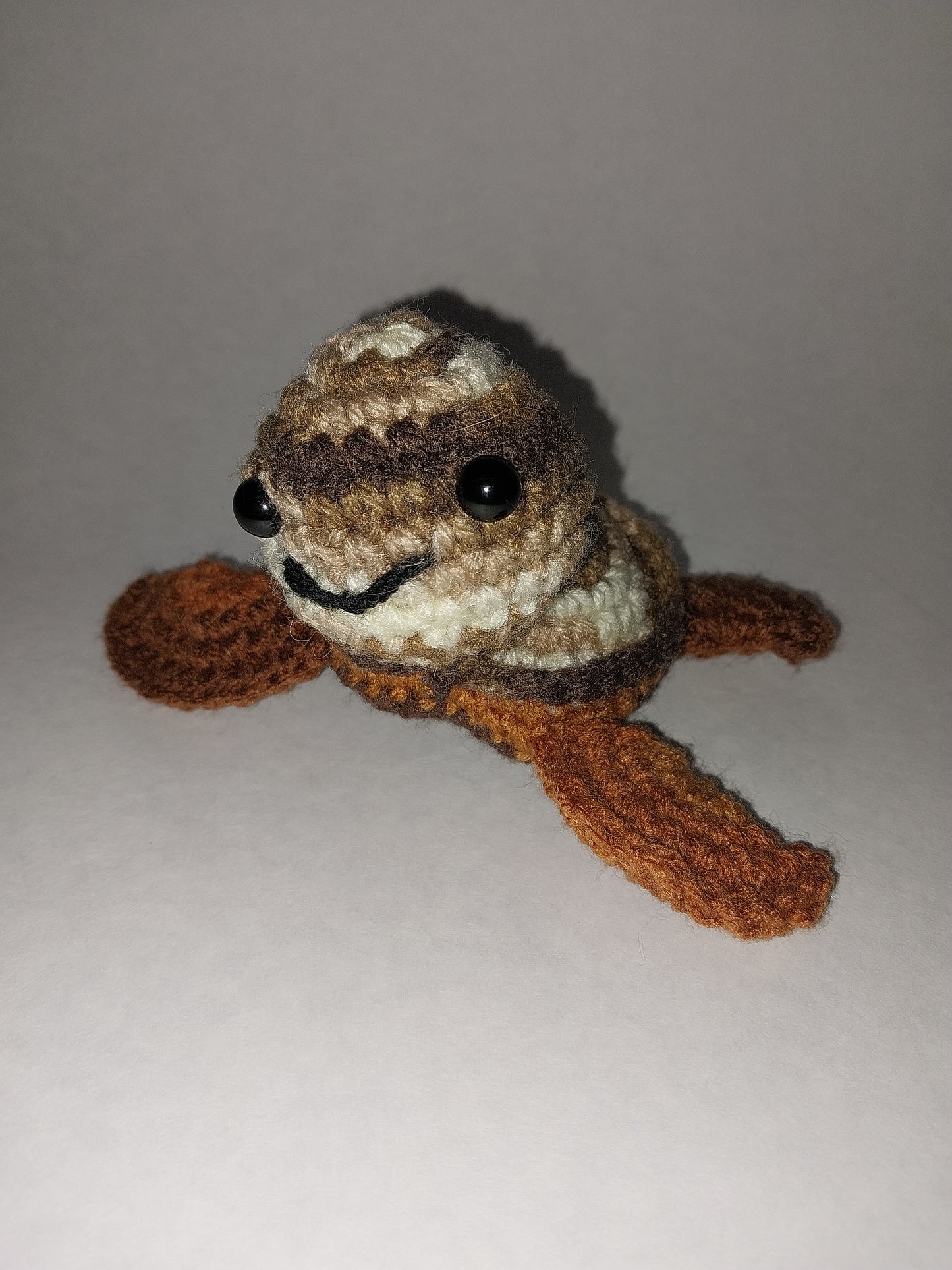 Brown sea turtle