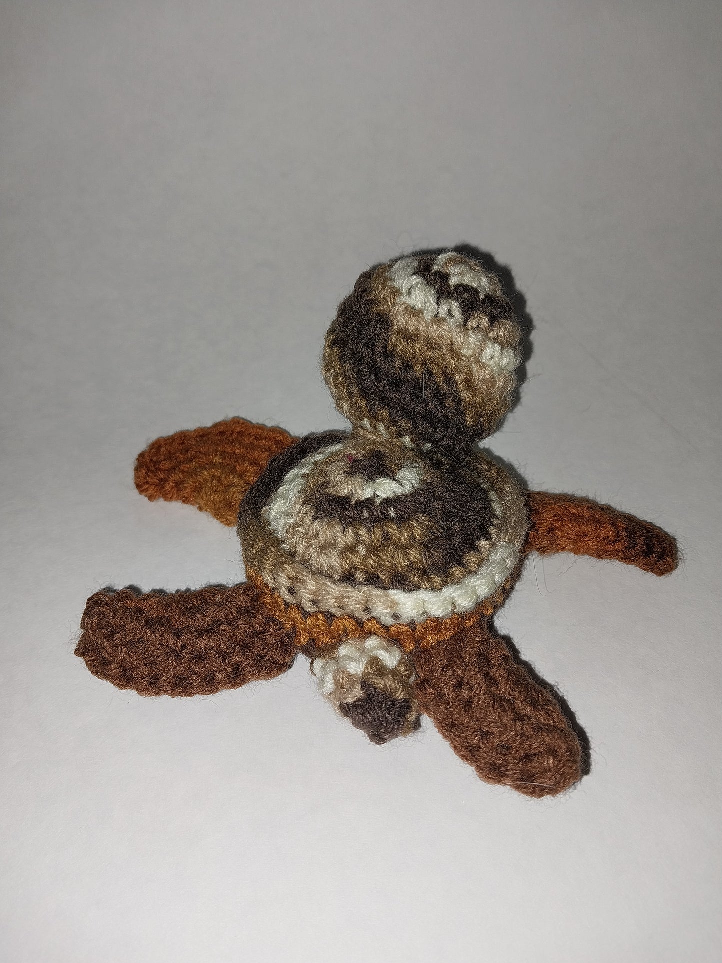 Brown sea turtle
