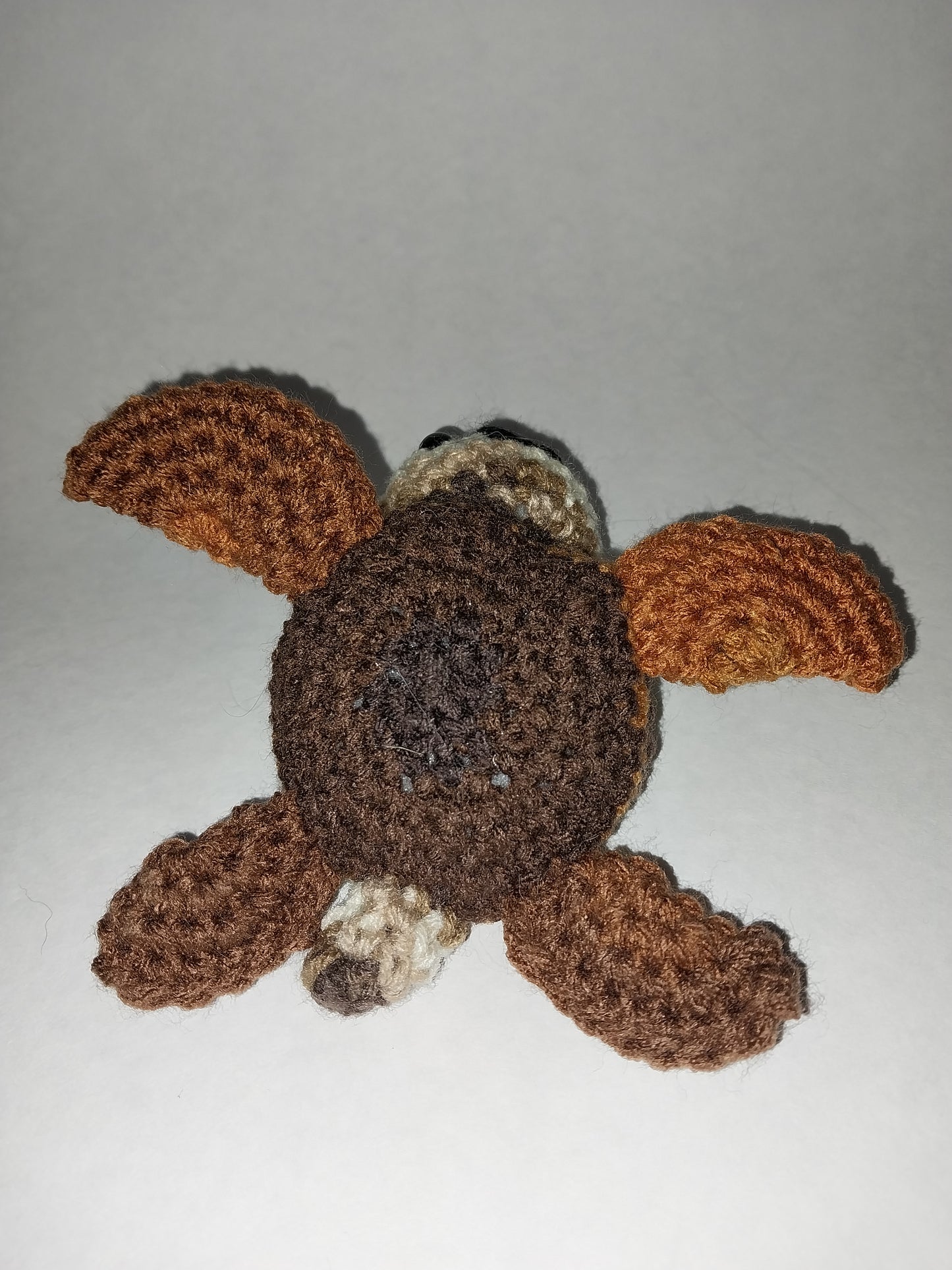 Brown sea turtle