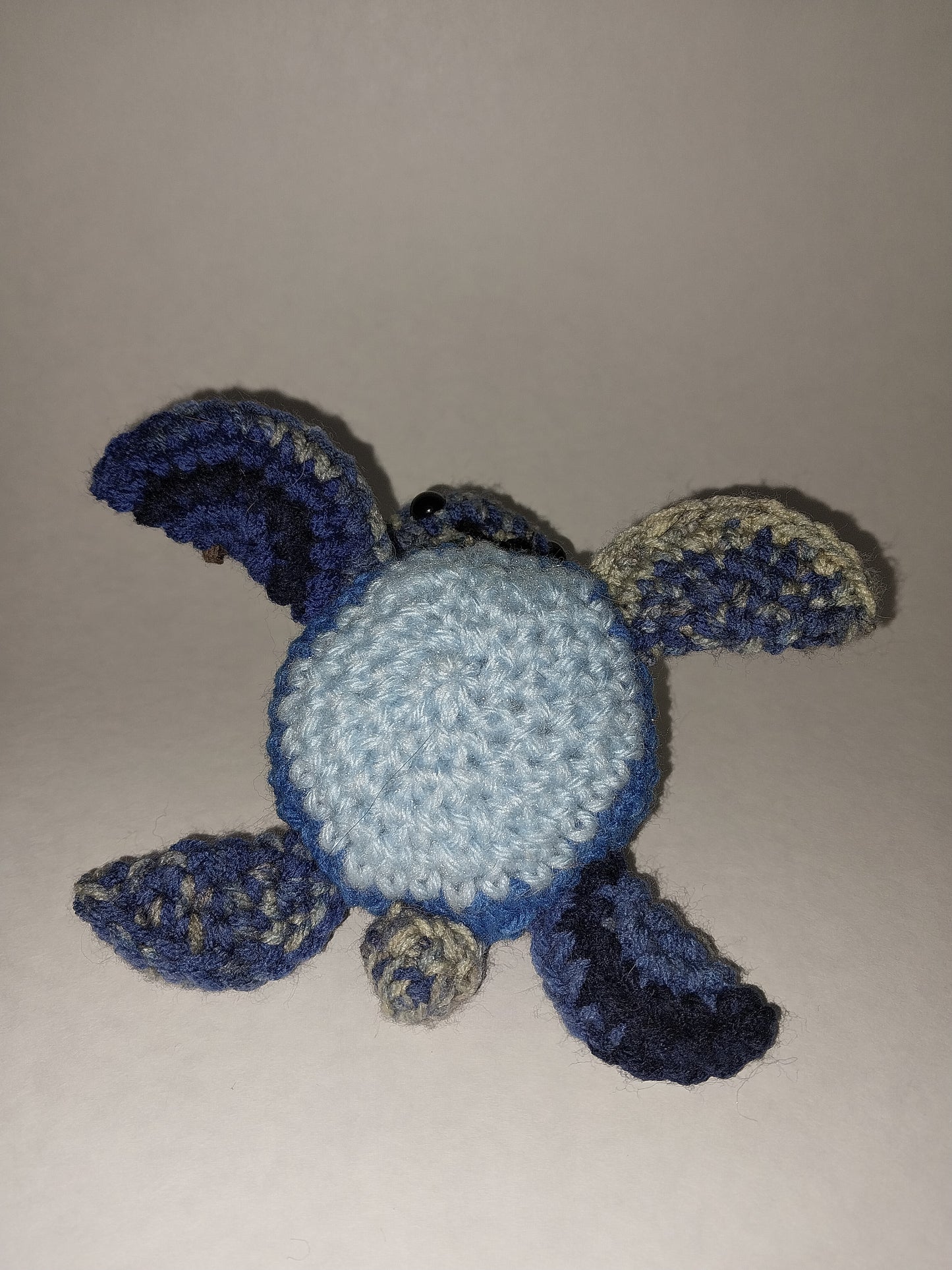 Herman the blues turtle