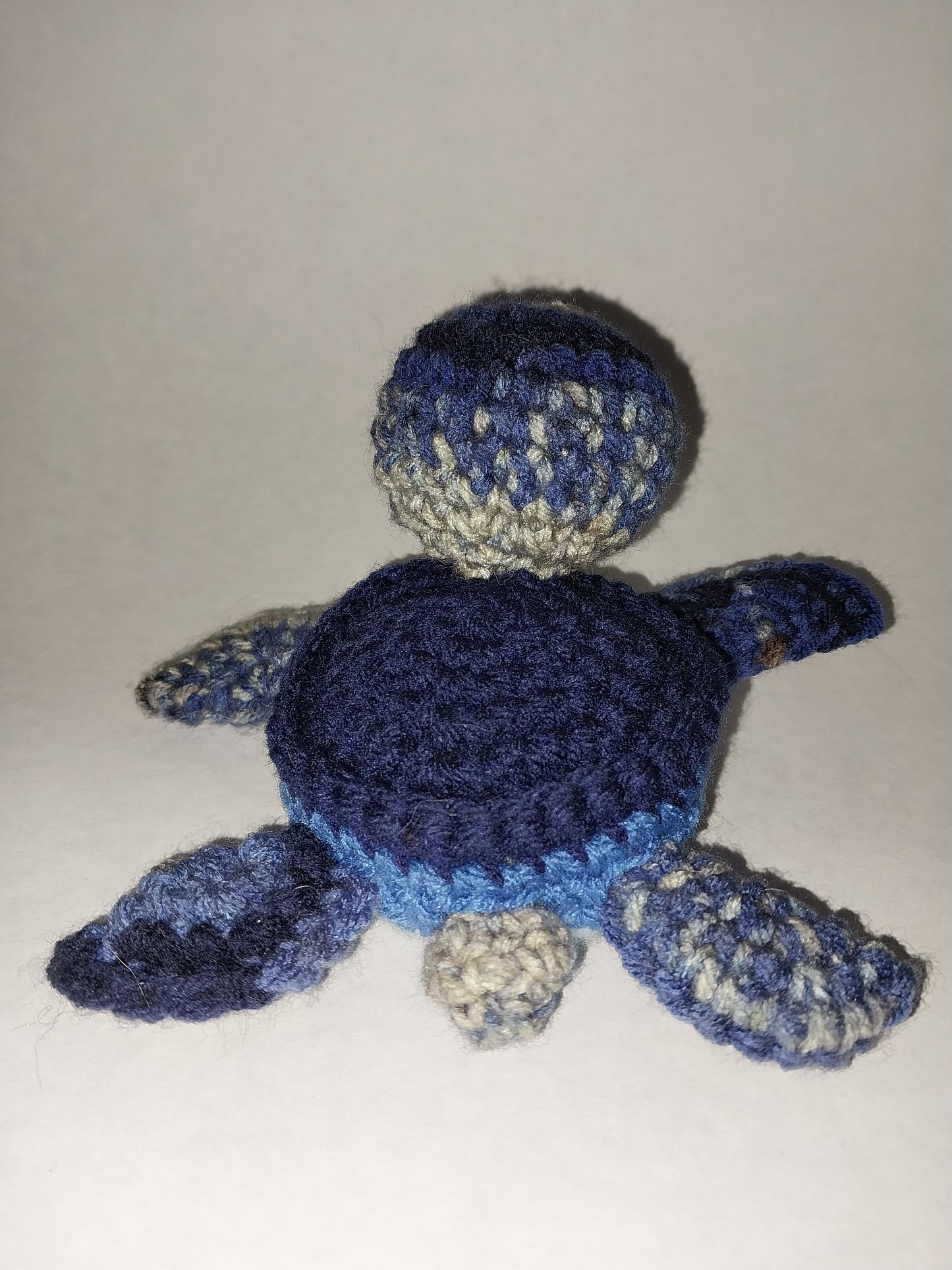 Herman the blues turtle