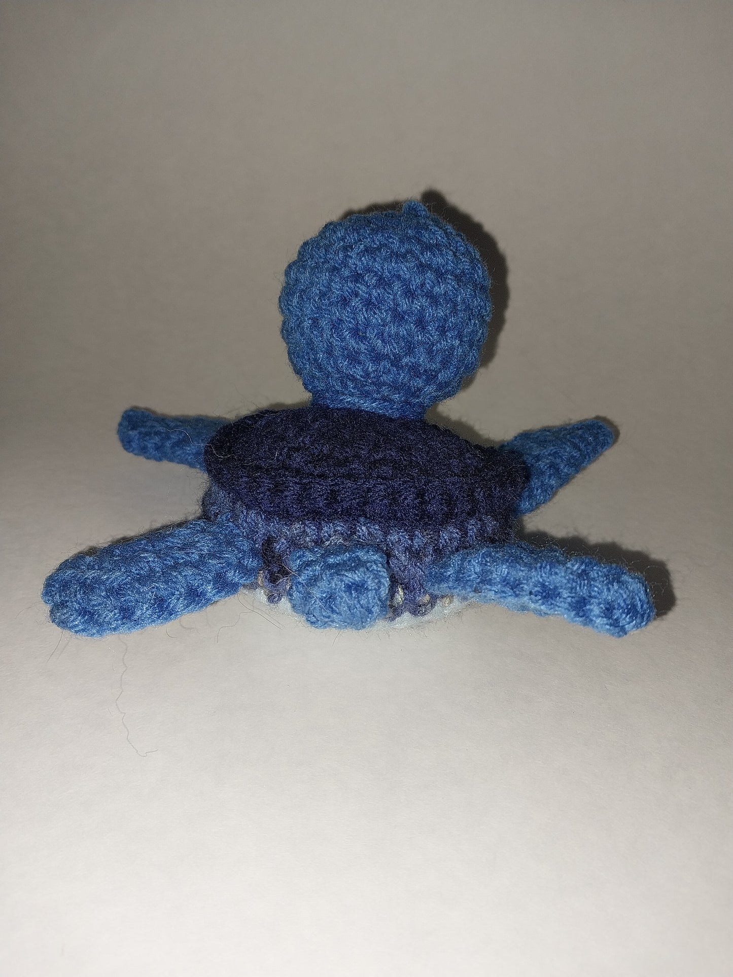 Blue sea turtle
