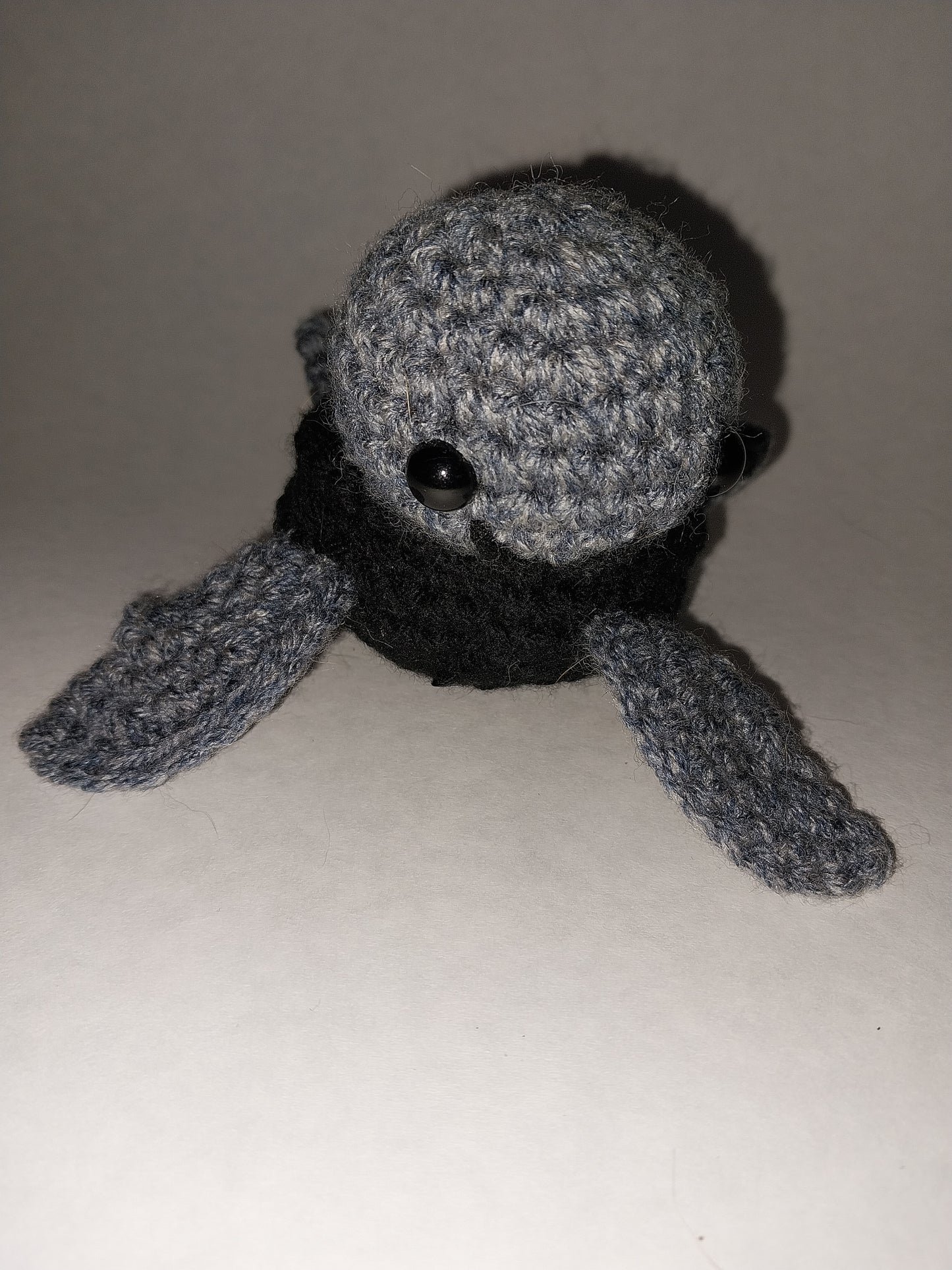 Joan turtle