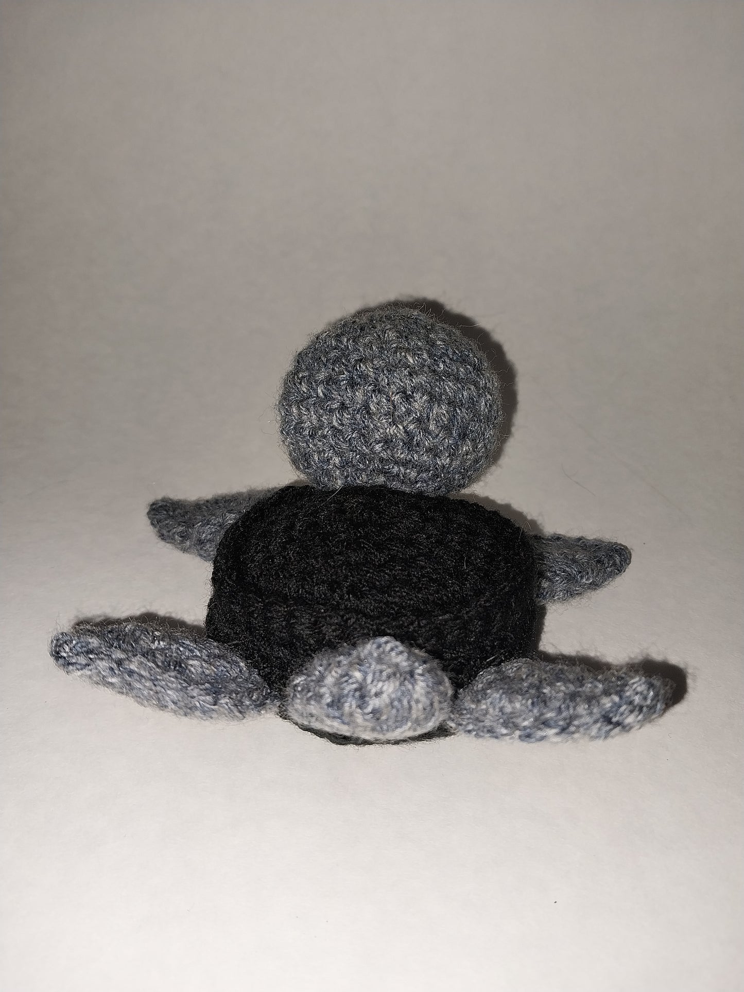 Joan turtle