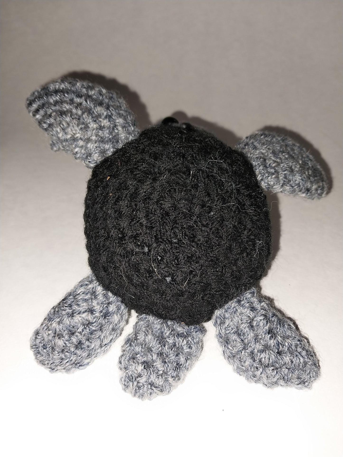 Joan turtle
