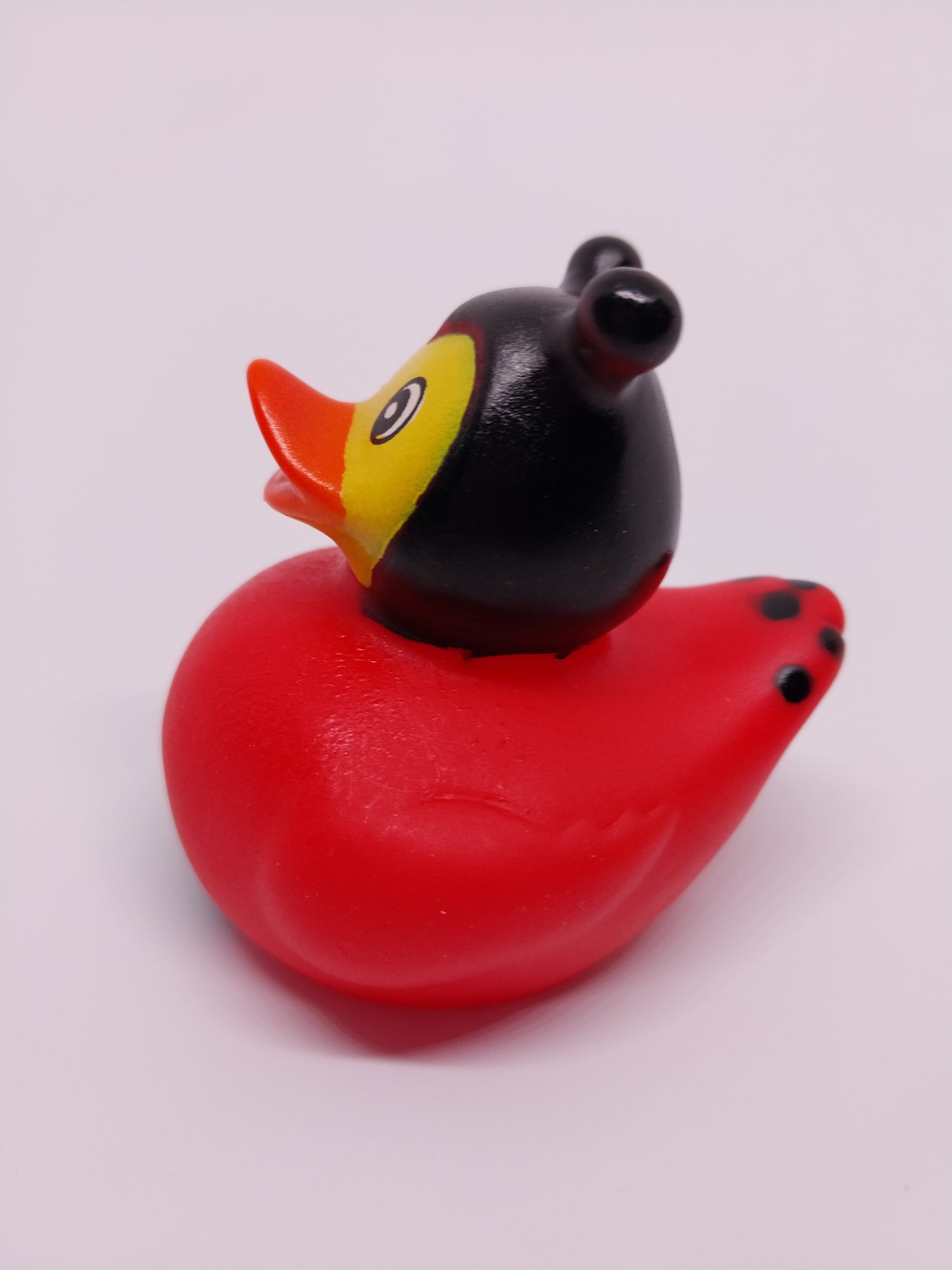 Ladybug Rubber Duck