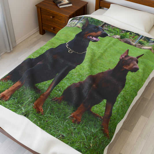 Doberman Dog Group Lovers Velveteen Plush Blanket | Cozy Pet Blanket for Home Decoration, Gift for Dog Owners, Animal Lover Cozy Throw
