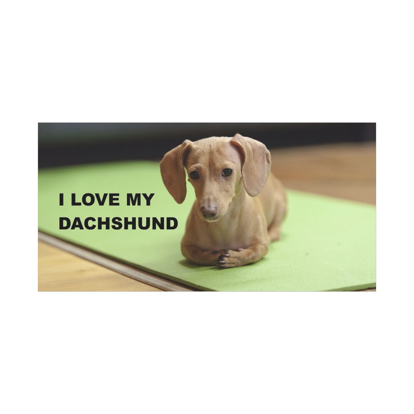 I Love My Dachshund Canvas Print, Pet Lover Wall Art, Dog Decor, Animal Wall Hanging, Home Decoration, Gift for Dachshund Owners