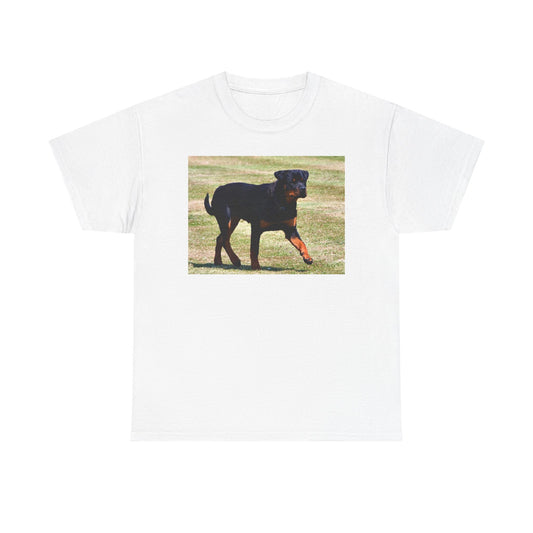 Stylish Rottweiler Walking Tee for Dog Lovers, Unisex Heavy Cotton T-Shirt, Animal Lover Gift, Pet Owner Apparel, Casual Wear, Birthday Present