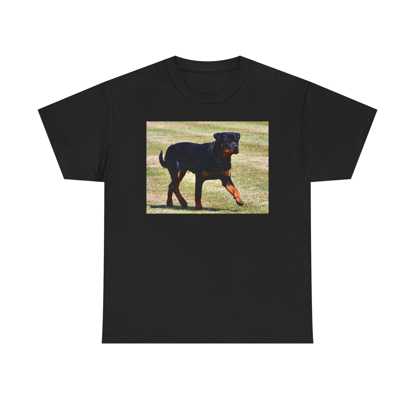 Stylish Rottweiler Walking Tee for Dog Lovers, Unisex Heavy Cotton T-Shirt, Animal Lover Gift, Pet Owner Apparel, Casual Wear, Birthday Present