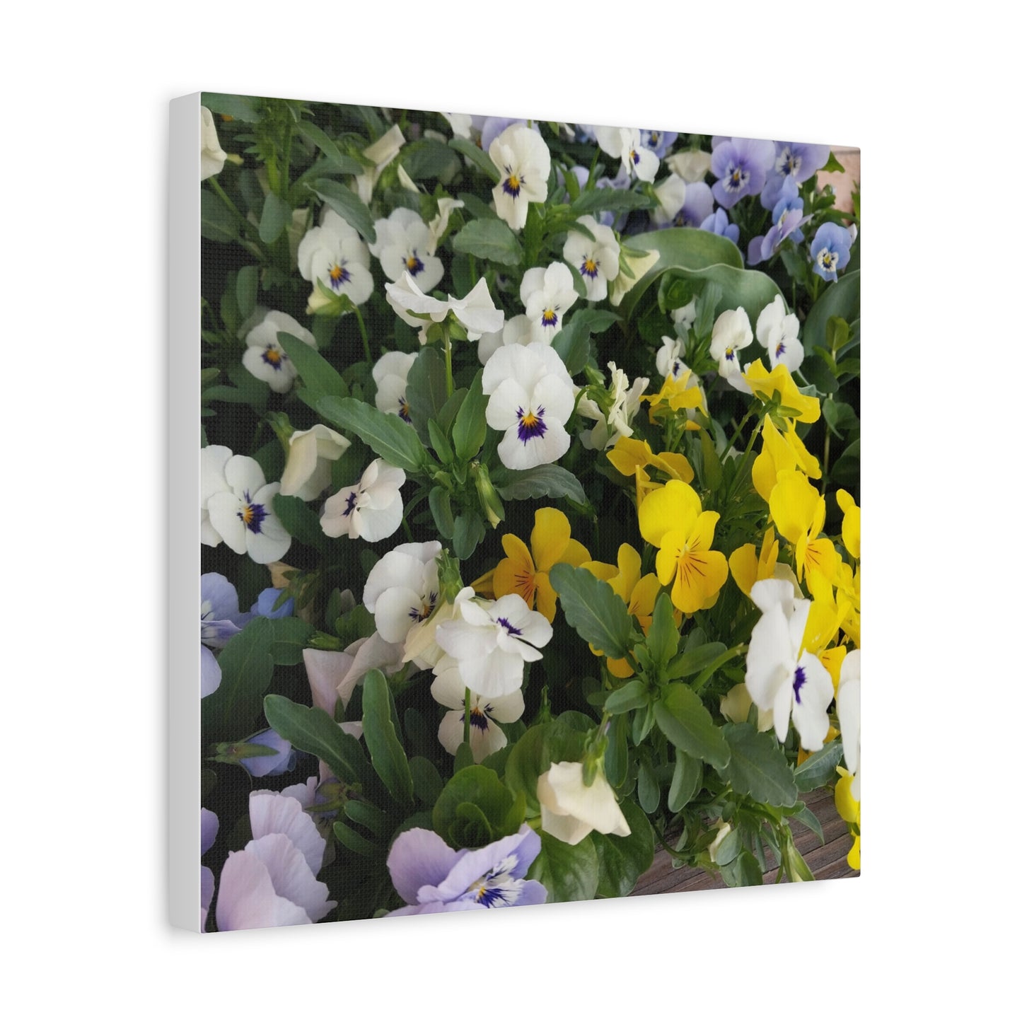 Pansies Floral Canvas Wall Art - Vibrant Pansy Design for Home Decor