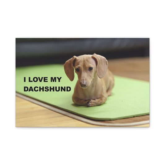 I Love My Dachshund Canvas Print, Pet Lover Wall Art, Dog Decor, Animal Wall Hanging, Home Decoration, Gift for Dachshund Owners