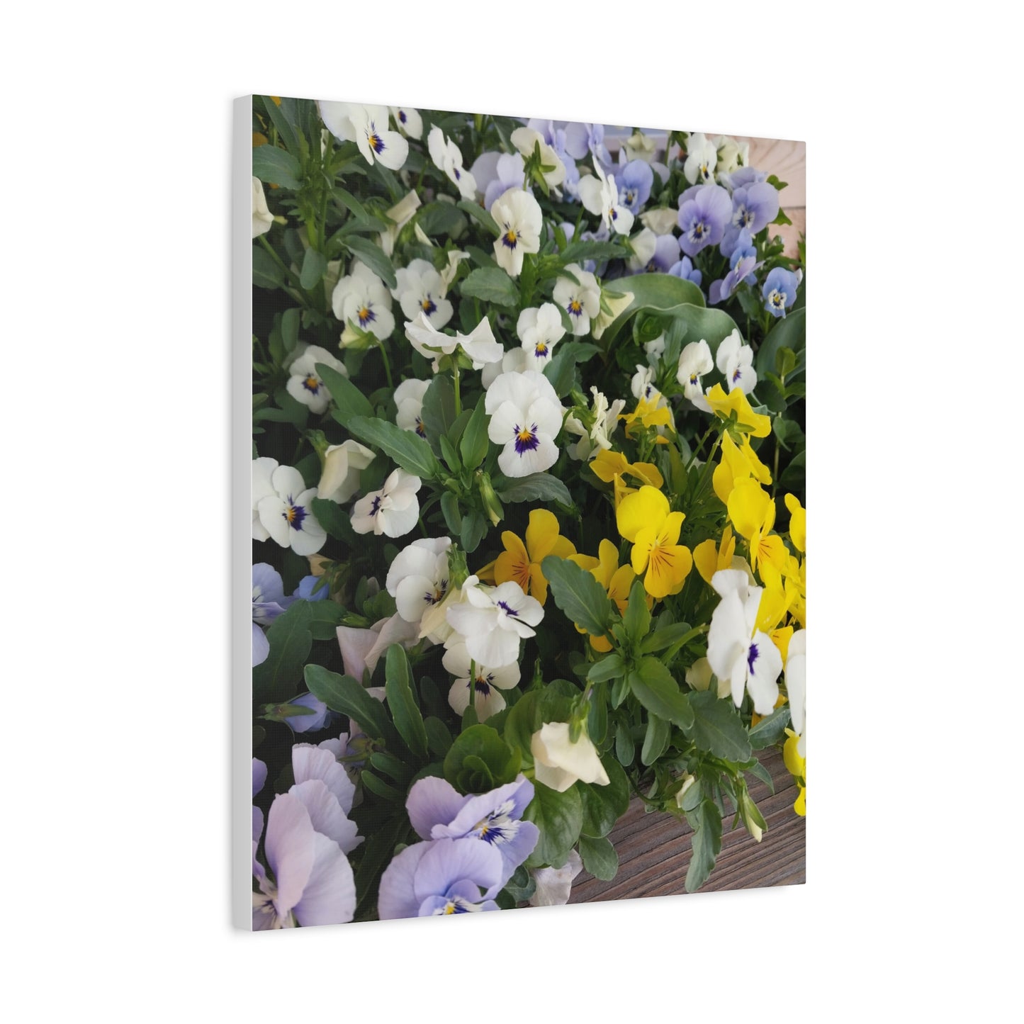 Pansies Floral Canvas Wall Art - Vibrant Pansy Design for Home Decor