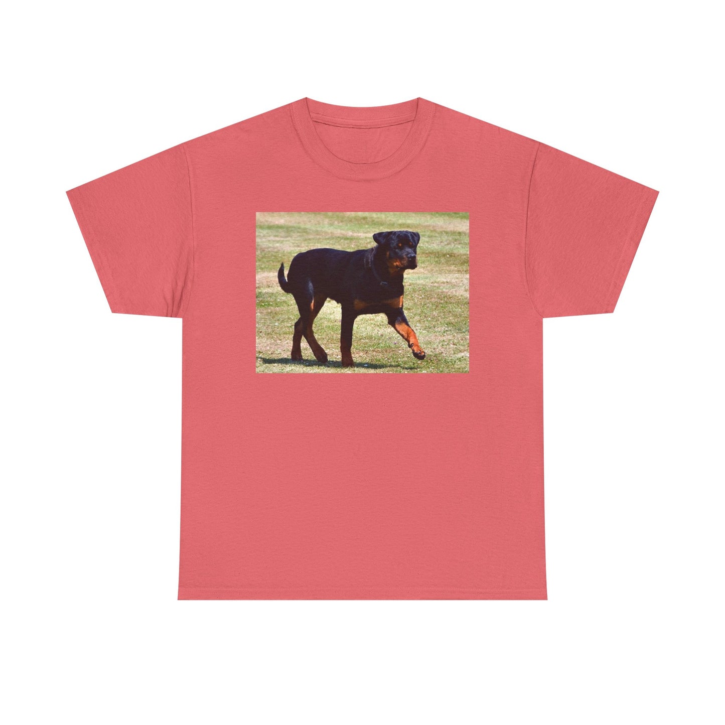 Stylish Rottweiler Walking Tee for Dog Lovers, Unisex Heavy Cotton T-Shirt, Animal Lover Gift, Pet Owner Apparel, Casual Wear, Birthday Present