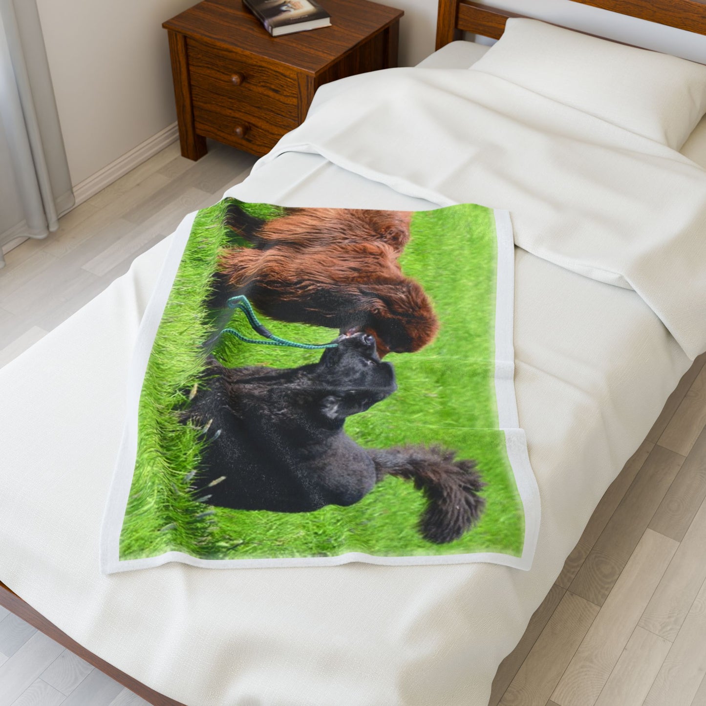 Newfoundland Dog Group Pet Lovers' Velveteen Plush Blanket - Cozy, Soft Throw for Dog Owners