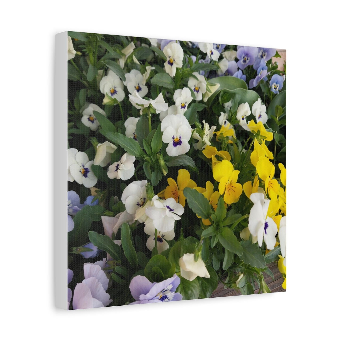 Pansies Floral Canvas Wall Art - Vibrant Pansy Design for Home Decor