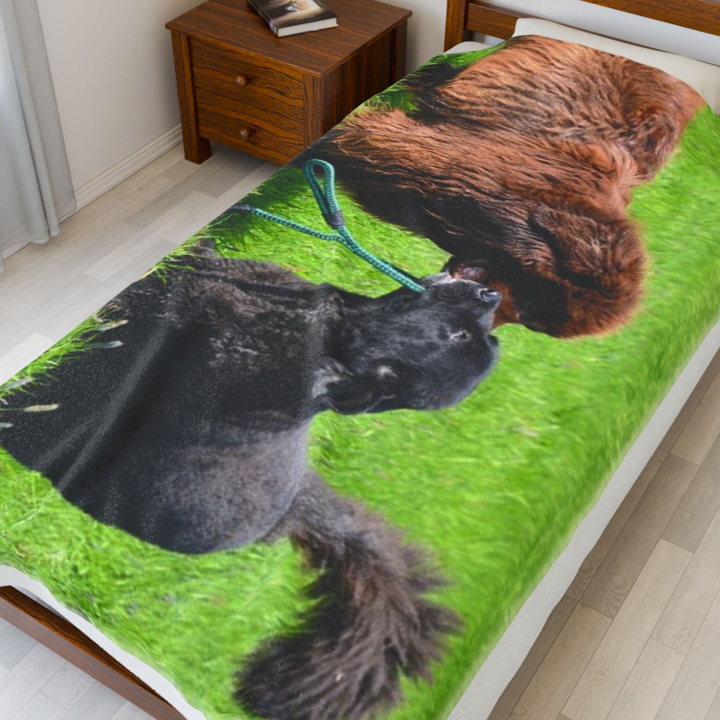 Newfoundland Dog Group Pet Lovers' Velveteen Plush Blanket - Cozy, Soft Throw for Dog Owners