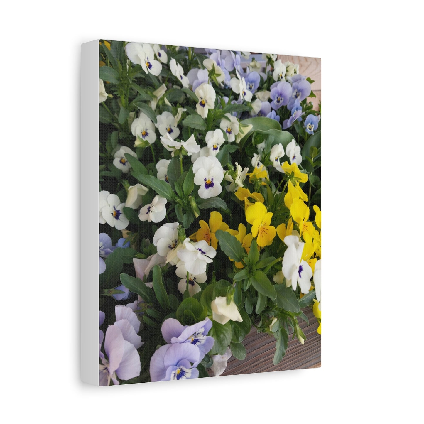 Pansies Floral Canvas Wall Art - Vibrant Pansy Design for Home Decor