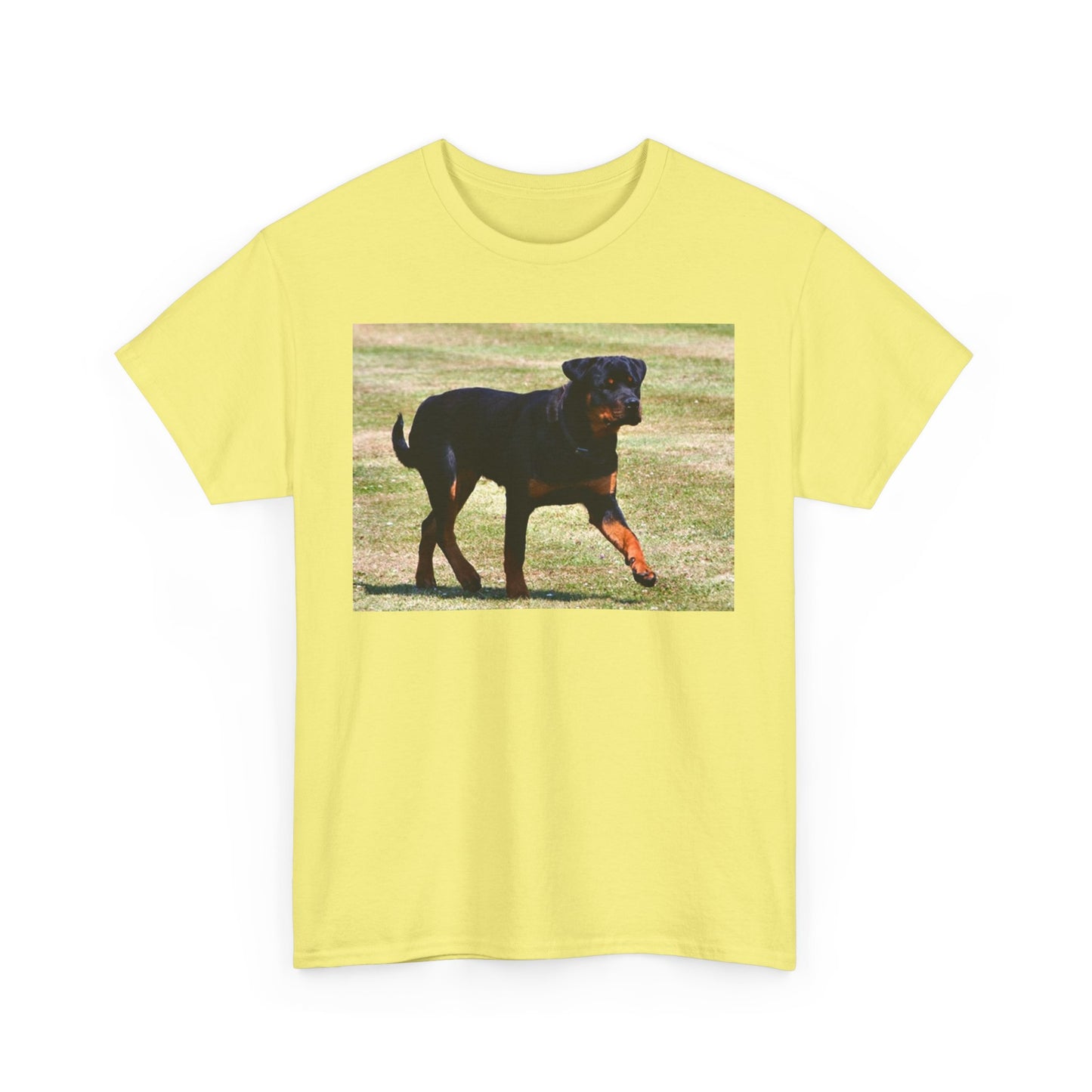 Stylish Rottweiler Walking Tee for Dog Lovers, Unisex Heavy Cotton T-Shirt, Animal Lover Gift, Pet Owner Apparel, Casual Wear, Birthday Present
