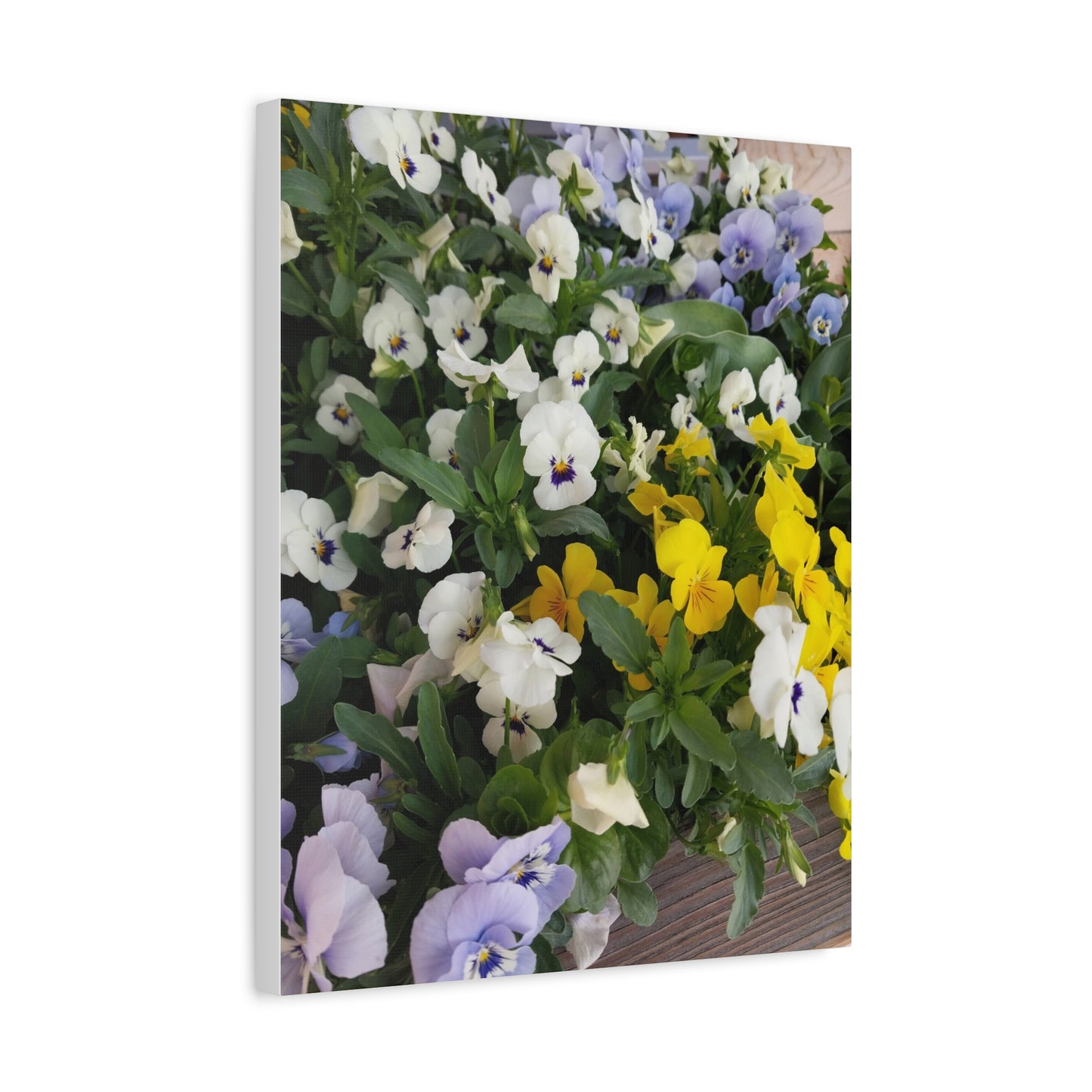 Pansies Floral Canvas Wall Art - Vibrant Pansy Design for Home Decor