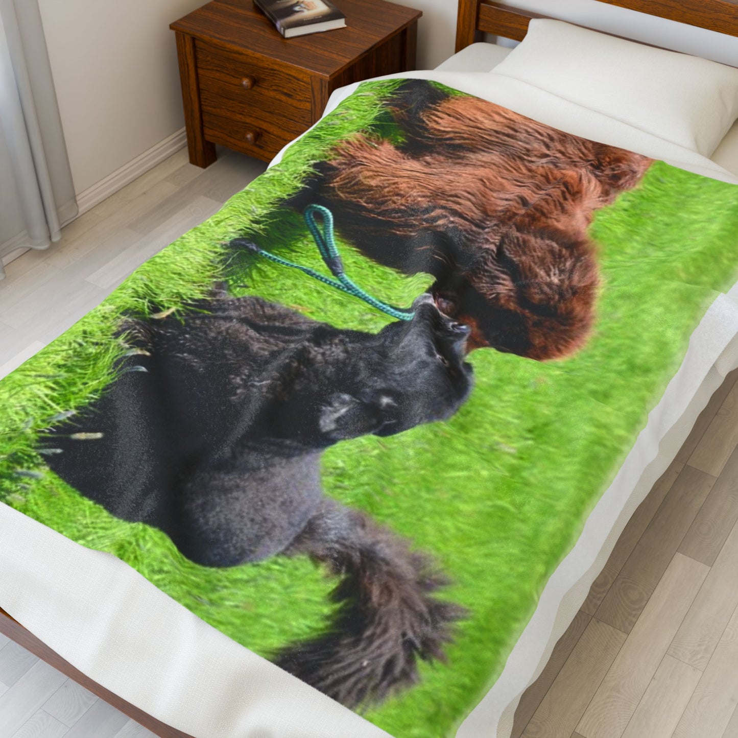 Newfoundland Dog Group Pet Lovers' Velveteen Plush Blanket - Cozy, Soft Throw for Dog Owners