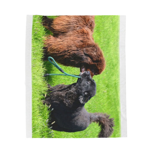 Newfoundland Dog Group Pet Lovers' Velveteen Plush Blanket - Cozy, Soft Throw for Dog Owners